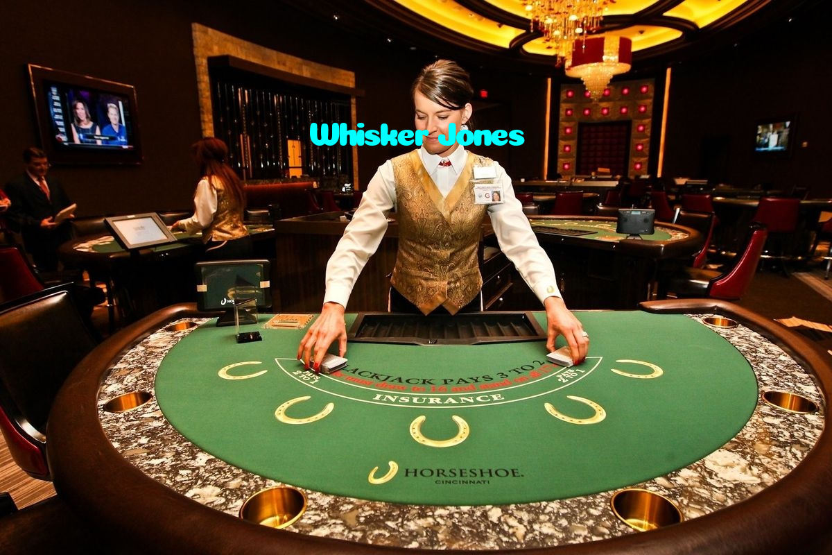 Whisker Jones خوش آمدید بونس +600% پیشکش موبائل ایپ کے پروموشن سیکشن میں دکھائی دیتی ہے۔