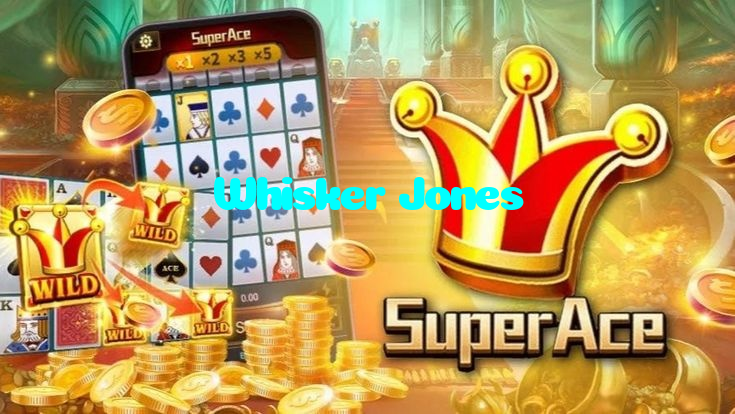 لائسنس یافتہ آفیشل کرکٹ بیٹنگ اور وی آئی پی کیسینو انٹرٹینمنٹ پاکستان