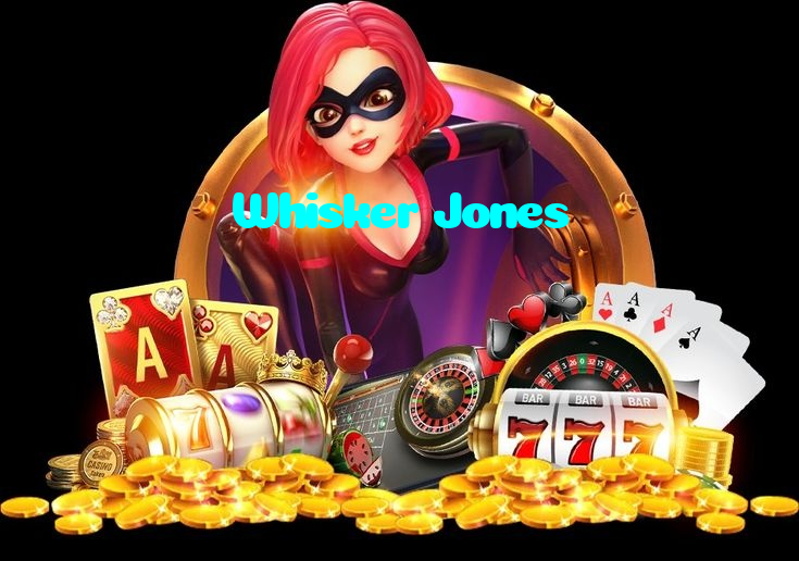 available types of Whisker Jones bet including pre-match live express and system bets